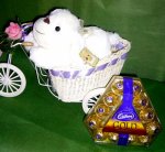 CSG19 Biking Bear with Chocolate