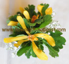  Chinese New Year, Valentine's Day Promotion