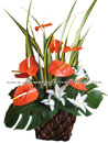 Chinese New Year, Valentine's Day Promotion