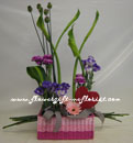 Chinese New Year, Valentine's Day Promotion
