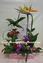  Chinese New Year, Valentine's Day Promotion